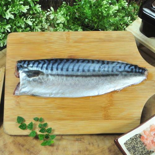 [漁季]挪威薄鹽鯖魚片160公克12片
