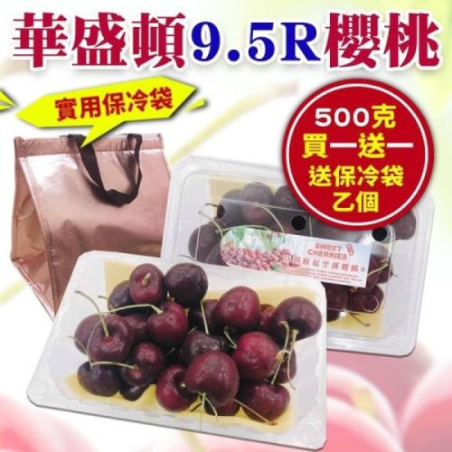 買1送1 果物樂園-美國空運華盛頓9.5R櫻桃(共2盒/每盒500g±10%含盒重) 加贈保冷袋