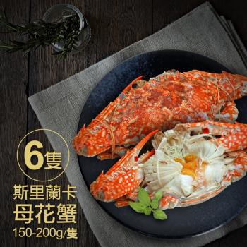 築地一番鮮斯里蘭卡生凍母花蟹 0 250g 隻 7隻 花蟹 霸王蟹 Etmall東森購物網