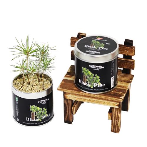 Light+Bio Cultivation Table栽培罐-黑松