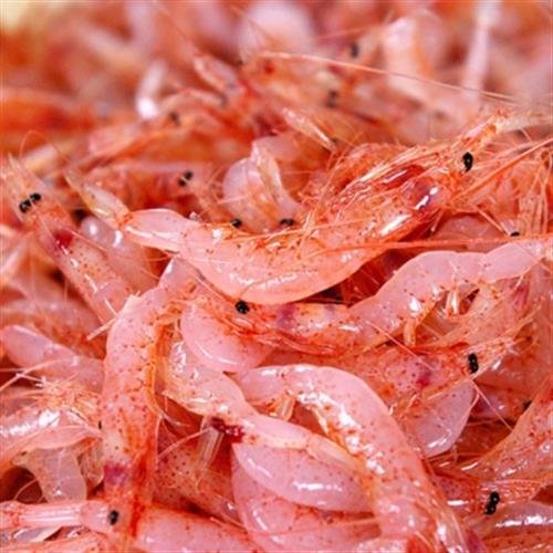 [漁季]宜蘭在地櫻花蝦鮮甜饗宴組