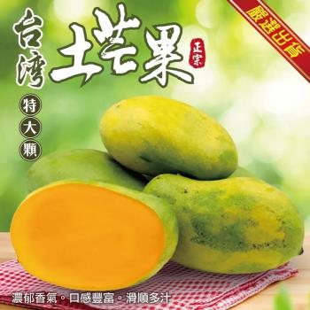 果物樂園-台灣大顆土芒果(約3斤/箱)