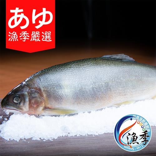 漁季嚴選宜蘭在地冷泉香魚當季新鮮組
