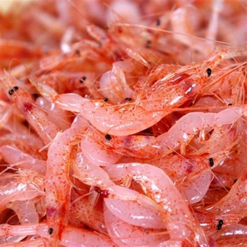 漁季 宜蘭珍寶櫻花蝦限量饗宴