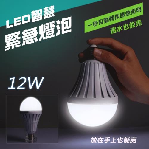 LED智慧緊急燈泡12W（一組兩入）