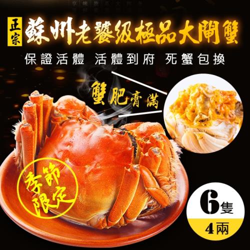鮮物殿堂-FDA合格無毒/正宗蘇州老饕級鮮活極品大閘蟹4兩x6隻