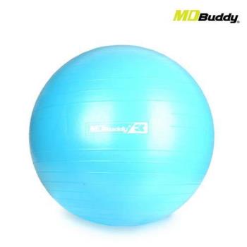 MDBuddy 防爆瑜珈球-附打氣筒 健身 訓練 韻律球