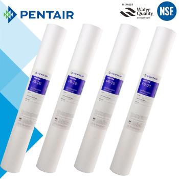 怡康 PENTAIR 公規20吋小胖5微米PP棉濾芯(4支組)