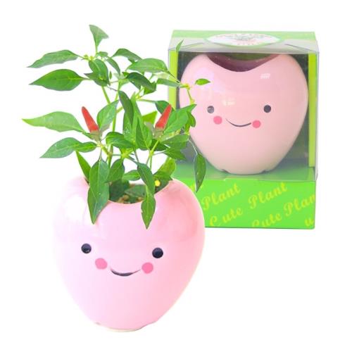 Light+Bio Cute plant陶瓷植栽-愛心