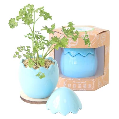 Light+Bio Yummy鮮採蛋植栽-藍