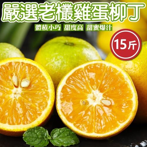 果物樂園-嚴選老欉雞蛋柳丁(約15斤/箱)