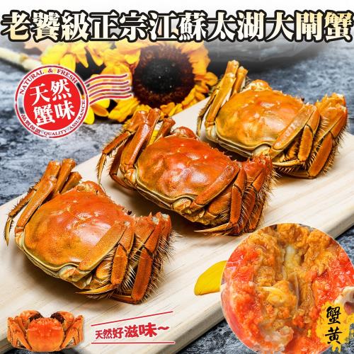 吃貨食間  老饕級正宗江蘇太湖大閘蟹 (4兩半/隻) x6隻