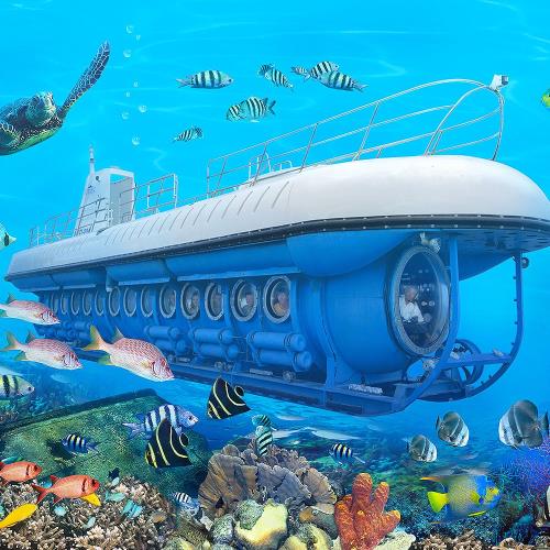 濟州西歸浦潛水艇泰迪熊香蕉牛奶咖啡廳4日旅遊