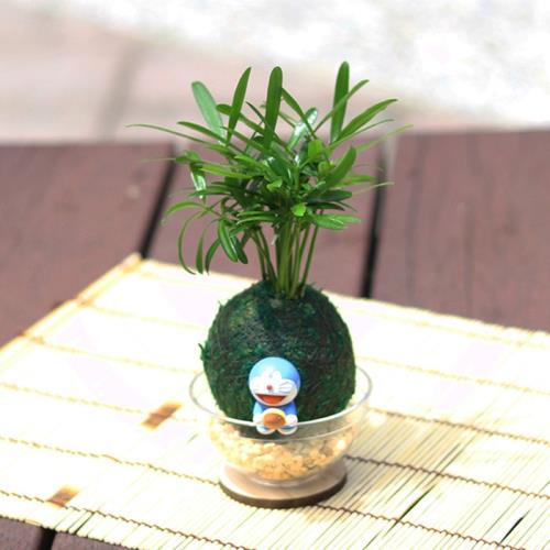 Light+Bio 萌寵卡通綠苔球-叮噹