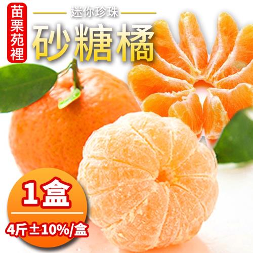 預購 吃貨食間 苗栗迷你珍珠砂糖橘禮盒 (4斤±10%/盒) x1盒