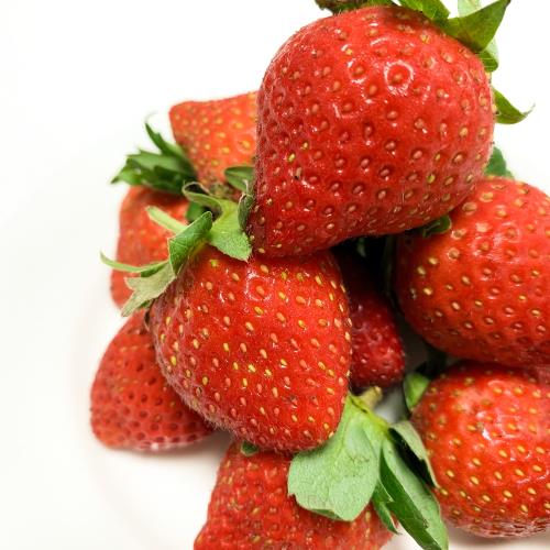 溫室大粒草莓-台灣有機轉型期認證組