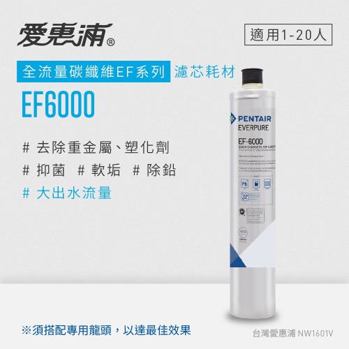 愛惠浦 EVERPURE EF6000碳纖活性碳濾芯(DIY更換)