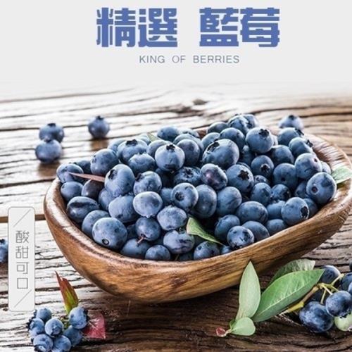 果物樂園-智利/祕魯/紐西蘭藍莓6盒(約125g/盒)