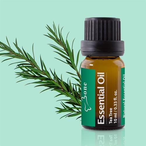 Bone / 茶樹精油 Essential Oil - Tea Tree 10ml