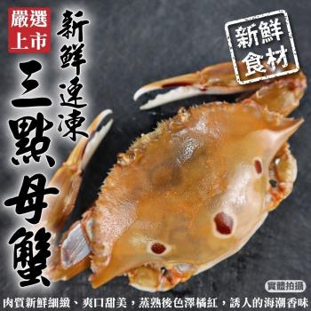 海肉管家-活凍野生三點母蟹4包共12隻(3隻_約500g/包)