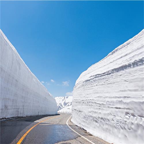 保證出團-日本立山雪壁富士芝櫻合掌村花海溫泉5日旅遊