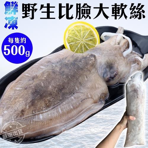 海肉管家-鮮凍野生特大軟絲(1隻/每隻約500~600g±10%)