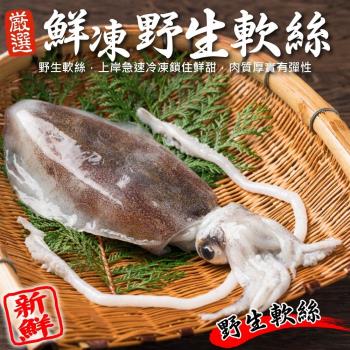 海肉管家-鮮凍野生軟絲(2隻/每隻約250~300g±10%)