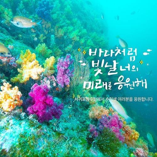 花現濟州潛水艇泰迪熊森林小火車鐵道自行車塗鴉秀5日旅遊