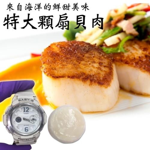 海肉管家-新鮮海味圓扇貝肉2包(13-15顆_約550g/包)