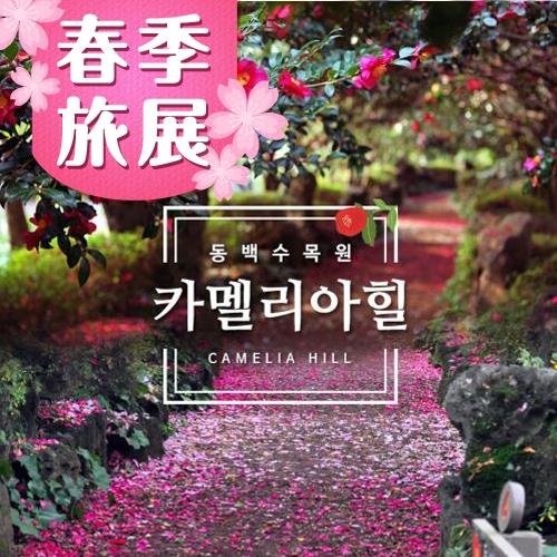 春季旅展-花遊濟州泰迪熊迷宮樂園山茶花馬術塗鴉雙秀4日旅遊