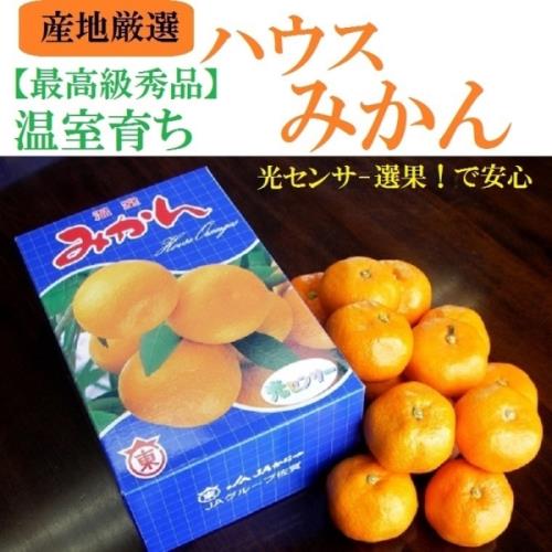 果物樂園-日本西海蜜柑(原裝12入/約1.2kg±10%)