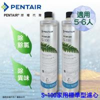Pentair濱特爾 公司貨EVERPURE S100家用標準型淨水器濾心/濾芯-2入組