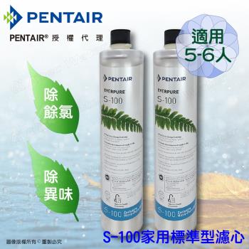 Pentair濱特爾 公司貨EVERPURE S100家用標準型淨水器濾心/濾芯-2入組