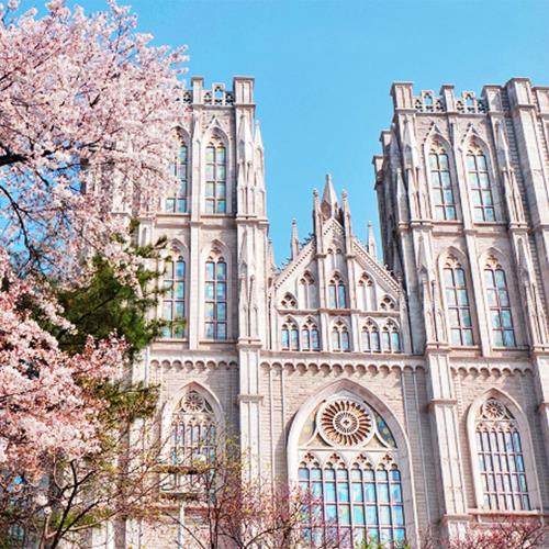 花漾韓國汝矣島愛寶樂園南怡島遊船明洞5日旅遊