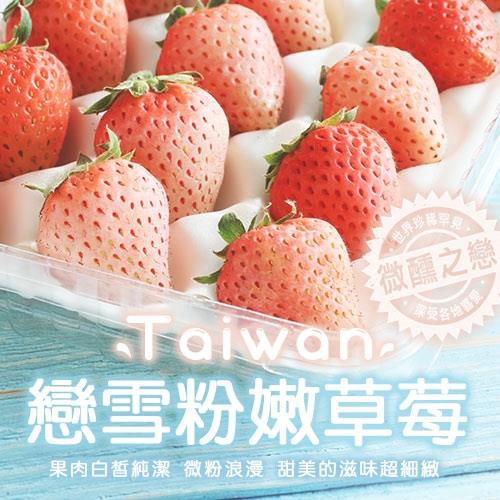 築地一番鮮-台灣獨特-戀雪粉嫩草莓1箱(500g/箱)
