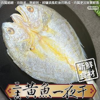 海肉管家-鮮凍黃魚一夜幹4尾(約200-250g/尾)