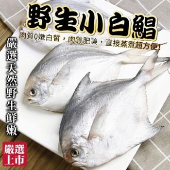 海肉管家-天然嚴選野生小白鯧1包(每包3-5尾/約300g±10%)