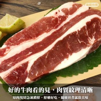 海肉管家-美國頂級安格斯雪花牛排15片(約200g/片)