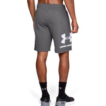 Under Armour 2019男休閒標誌運動中灰色齊膝短褲