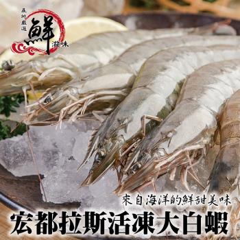 海肉管家-宏都拉斯活凍白蝦1盒(每盒48-56隻/約800-1000g(包冰15%)