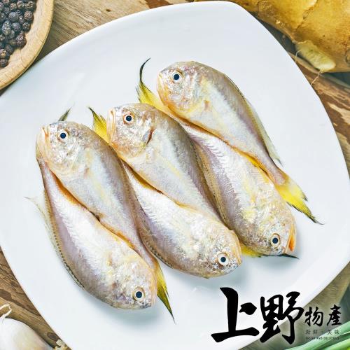 【上野物產】野生白口魚 (135g土10%/隻) x30隻