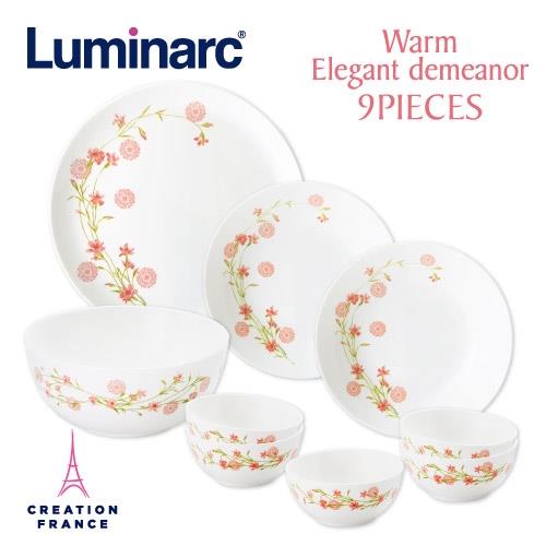 【Luminarc 樂美雅】溫馨風采9件式餐具組(ARC-D901-CT)
