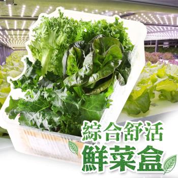 【智慧科技農場】綜合舒活鮮菜盒3盒(150g/盒)