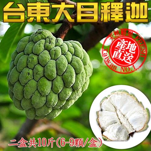 產地直送 台東大目釋迦 (5斤±10%/盒) x2盒