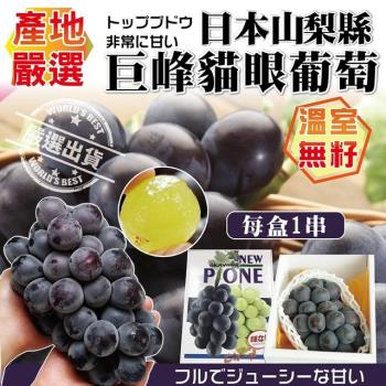 果物樂園-日本巨峰貓眼無籽葡萄原箱(8串/每串約450g±10%)