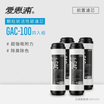 EVERPURE 愛惠浦 公規10英吋GAC顆粒狀活性碳濾芯4支 GAC-100(DIY更換)