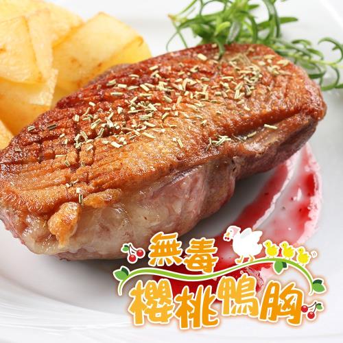 愛上新鮮 法式無毒櫻桃鴨胸3包