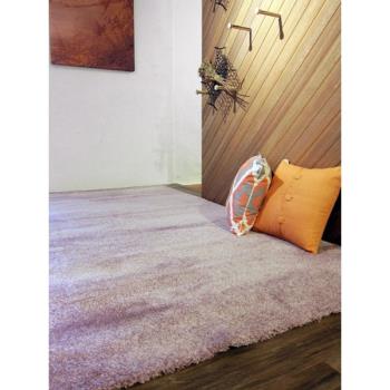 范登伯格 舒芙柔比利時頂級超柔舒適長毛地毯-67藕紫 140x200cm