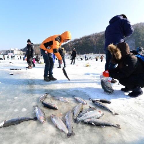 冬季促銷-韓國首釜釣冰魚愛寶樂園水世界5日旅遊