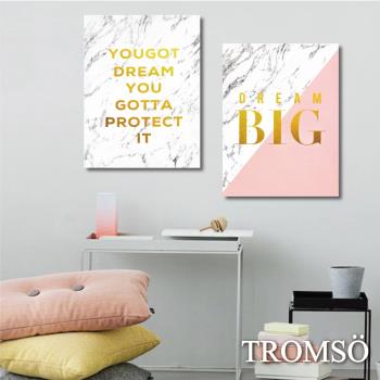 TROMSO-時尚無框畫_30x40cm兩幅一組 金采大理石